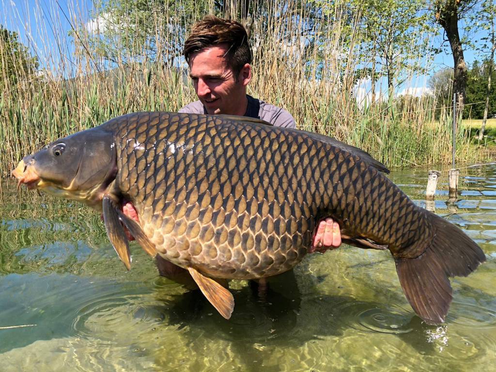 Carpfishing: Alla Caccia dei Giganti d'Acqua - Un'Avventura emozionante per  gli Amanti della Pesca 